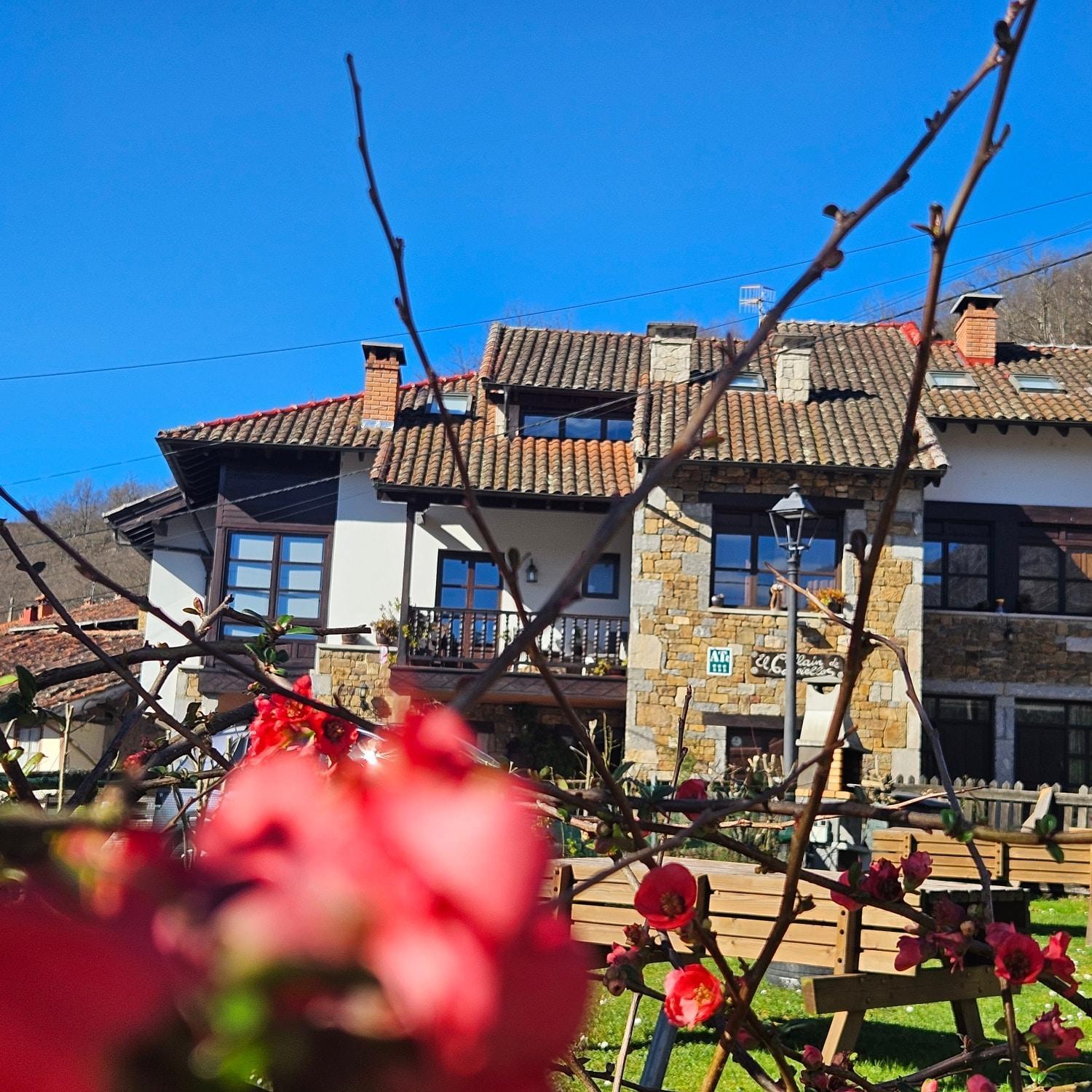 Apartamentos Rurales El Collain De Campiellos Екстер'єр фото