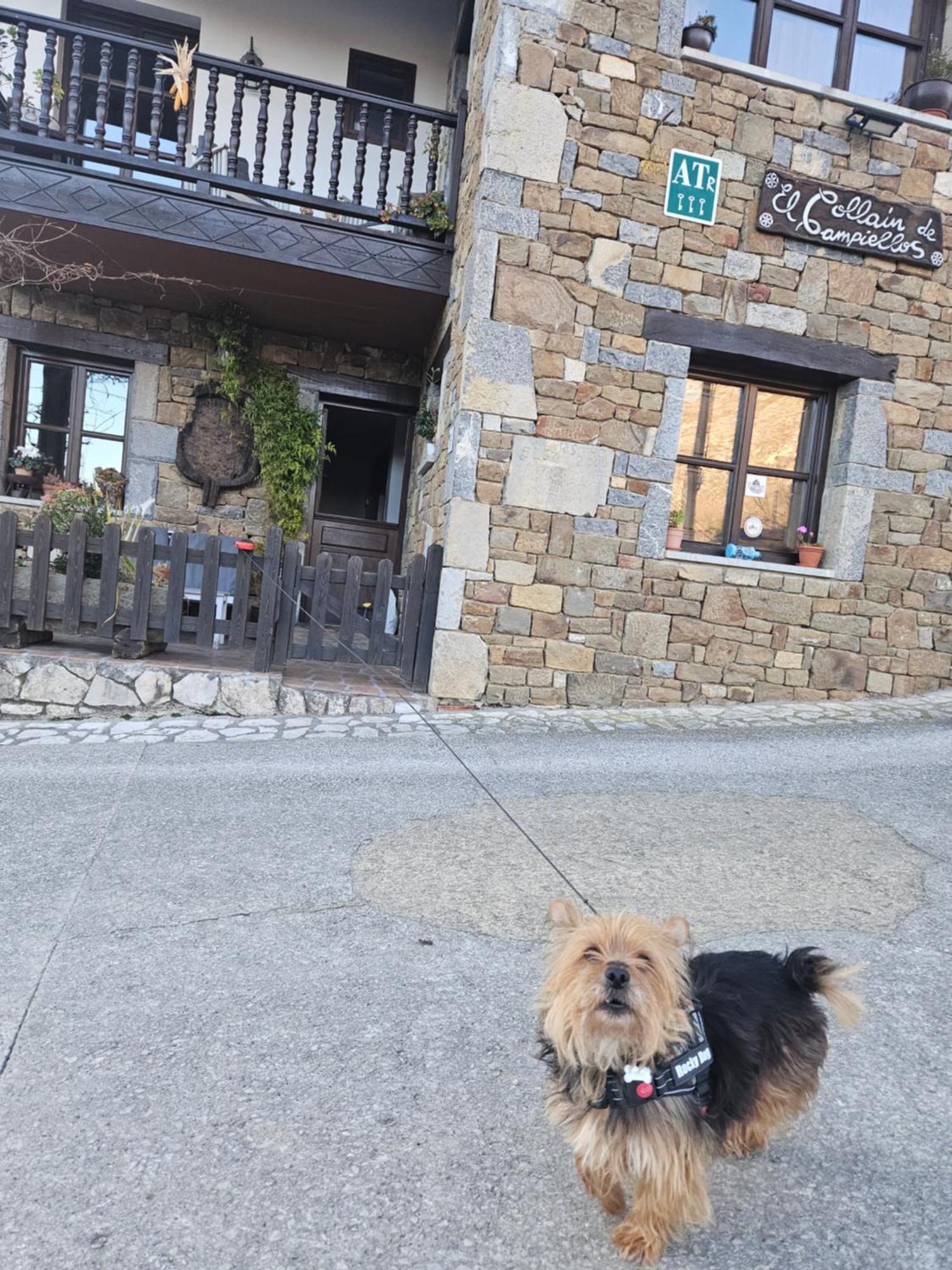 Apartamentos Rurales El Collain De Campiellos Екстер'єр фото