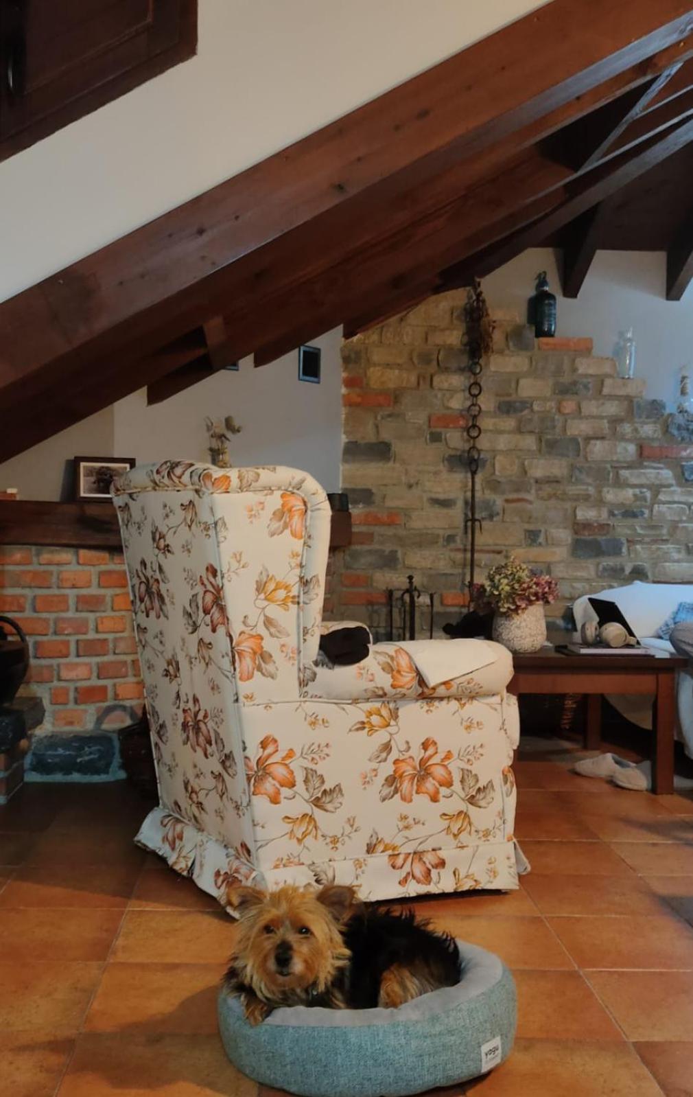 Apartamentos Rurales El Collain De Campiellos Екстер'єр фото
