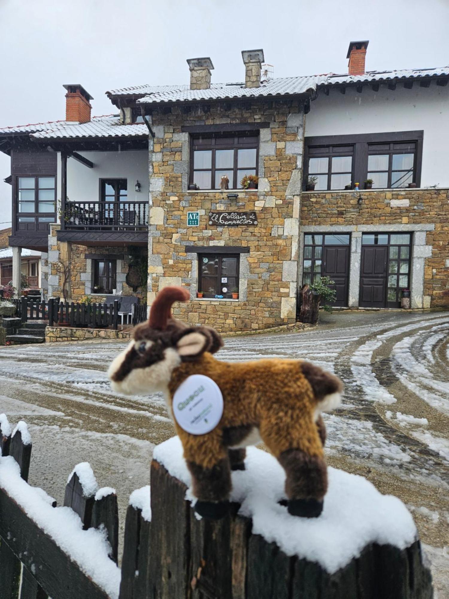 Apartamentos Rurales El Collain De Campiellos Екстер'єр фото